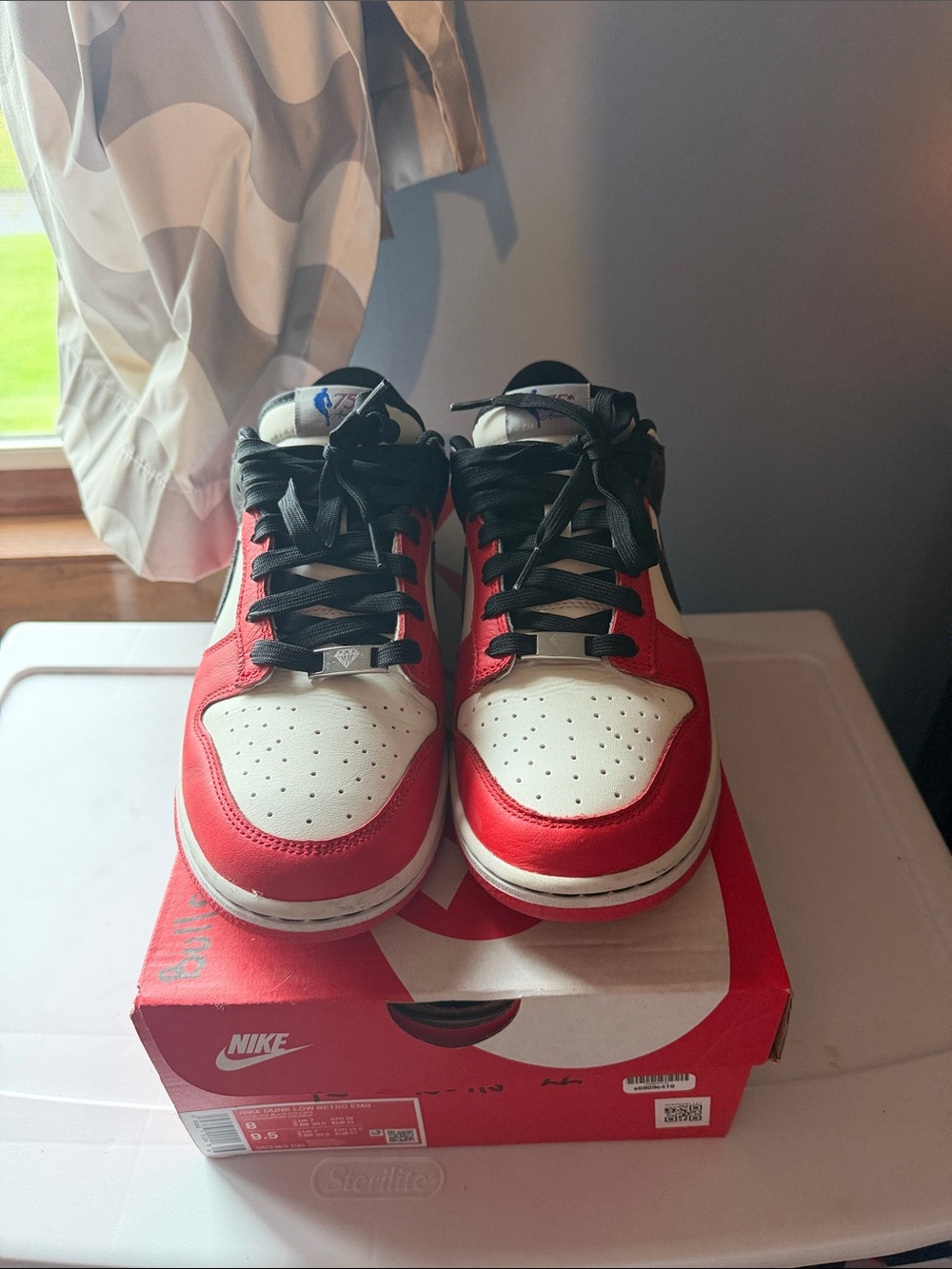 Nike Dunk 75th Anniversary Chicago Bulls EMB